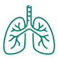 Boosts Lung Function